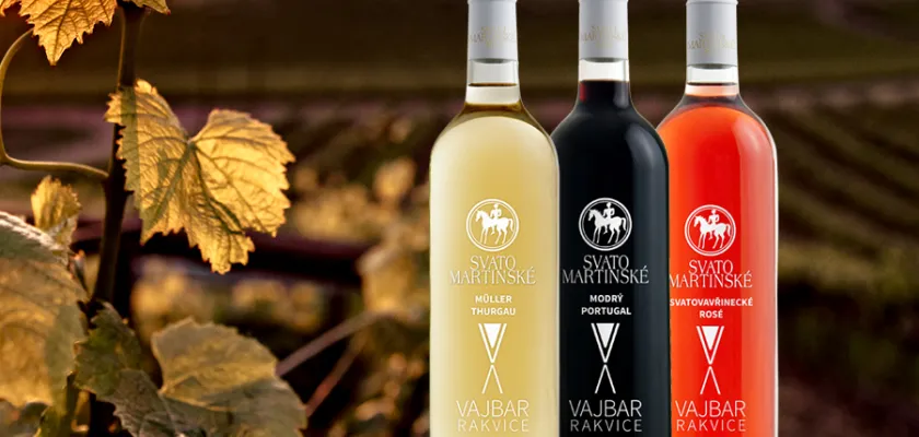 Svatomartinské víno 2024 z Vinařství Vajbar a ZD Němčičky