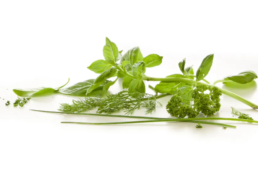 Víte, že... zmrazené bylinky