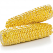Kukuřice klasy | 414068
