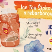 Ice Tea šípkový s rebarborou