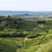 Italská vína 8 | Veneto