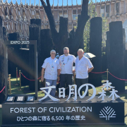 Expo Osaka 2025