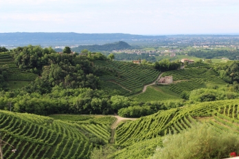 Italská vína 8 | Veneto