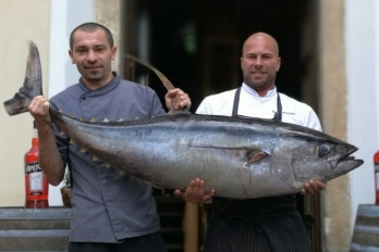 Fresh Fish Service | celý tuňák žlutoploutvý (yellowfin)