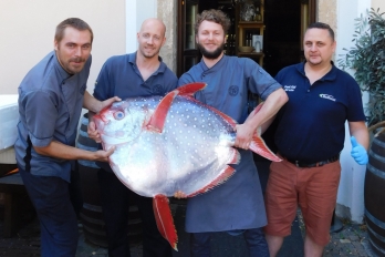 Fresh Fish Service a Restaurace Al Mulino | Moonfish