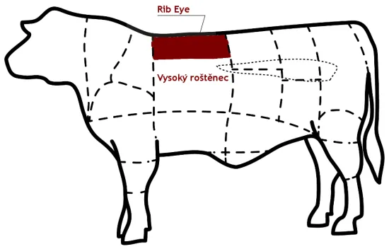 Rib eye | schéma řezu