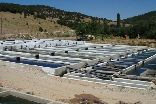 Turecká horská pstruží farma